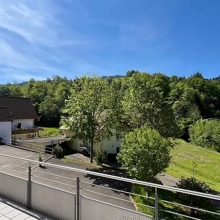 Ferienwohnung-blume Dg アパート