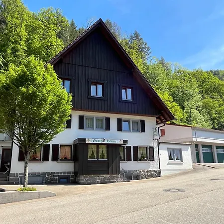 Ferienwohnung-blume Dg Daire Wolfach
