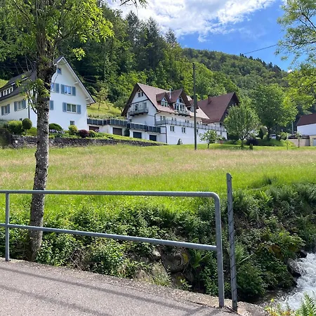 Daire Ferienwohnung-blume Dg Wolfach